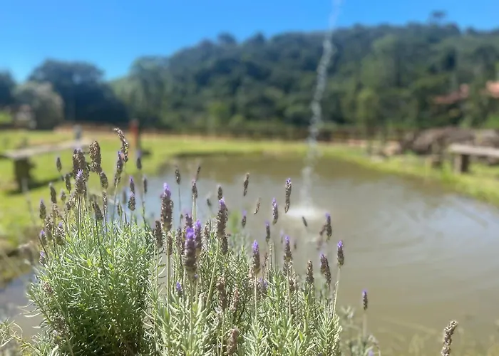 Casa De Campo Pe Da Serra - Sitio Em Campos Novos De Cunha