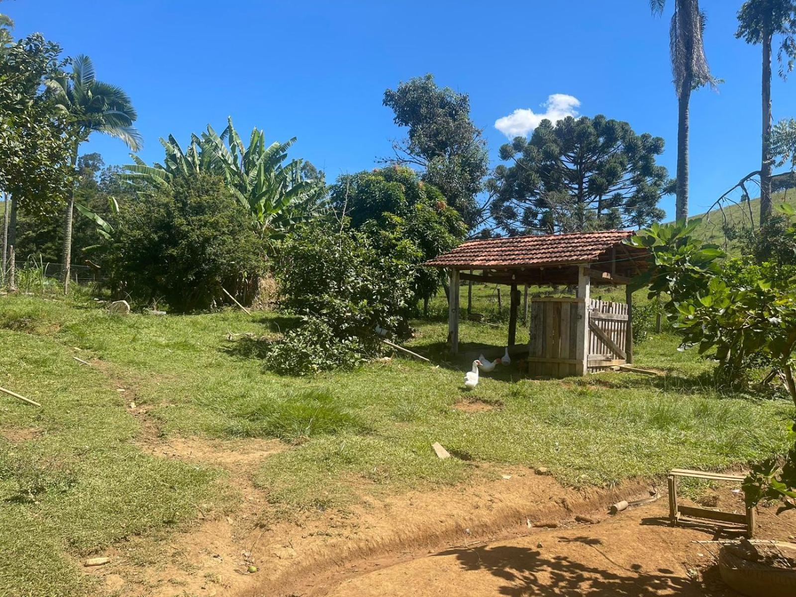 Pe Da Serra - Sitio Em Campos Novos De Casa de Férias Cunha