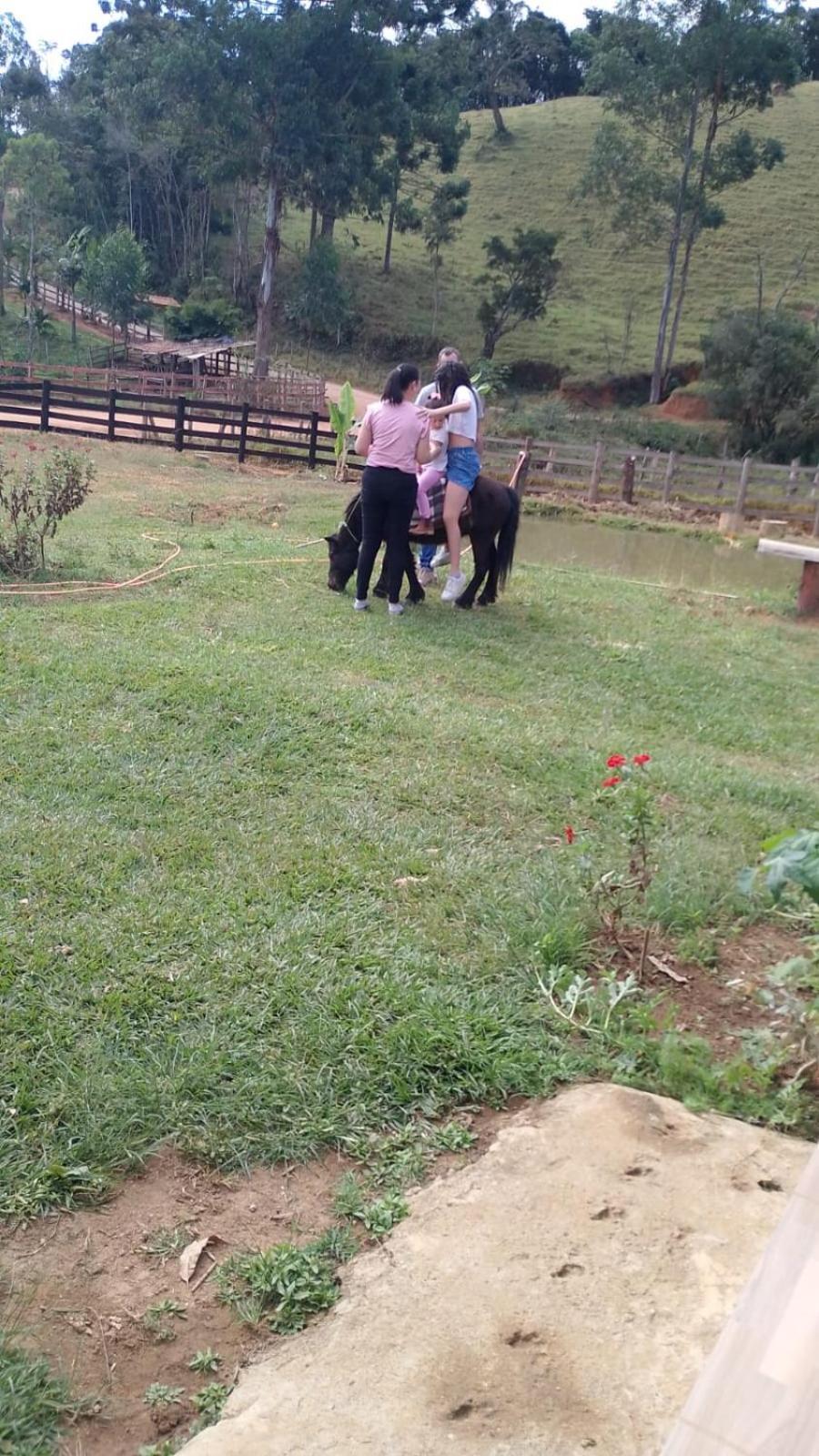 Pe Da Serra - Sitio Em Campos Novos De