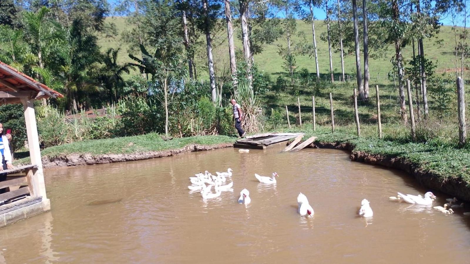 Casa de Férias Pe Da Serra - Sitio Em Campos Novos De