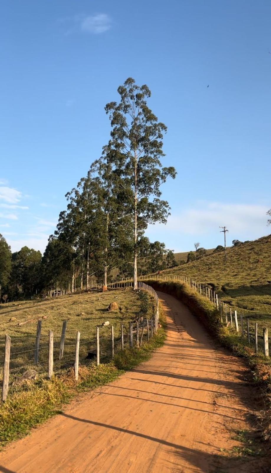 Pe Da Serra - Sitio Em Campos Novos De Cunha